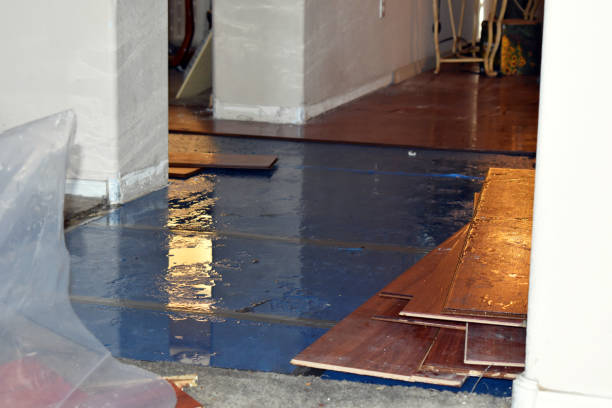 Professional Water Extraction technician working in McLain, MS